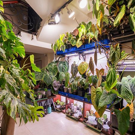 Amango Home Ho Chi Minh-Byen Eksteriør billede
